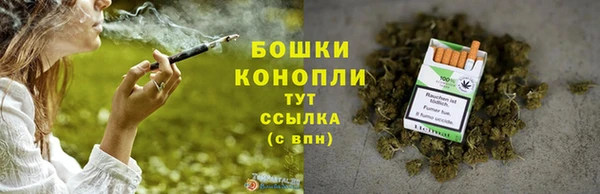 спиды Снежногорск